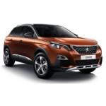 Peugeot 3008 17- (9)
